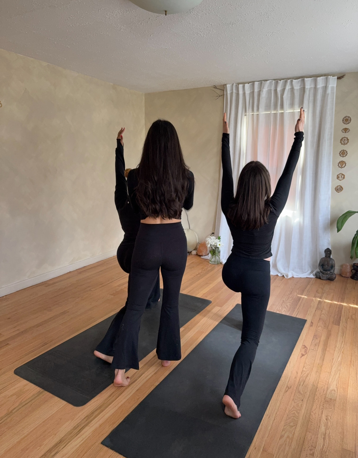 Community yoga session with multiple participants