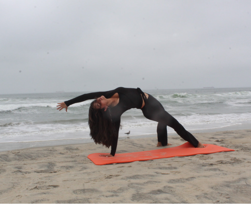 Instructor in meditation